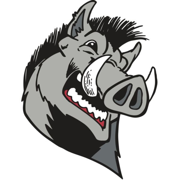 AR RAZORBACK 15 RC Thumbnail